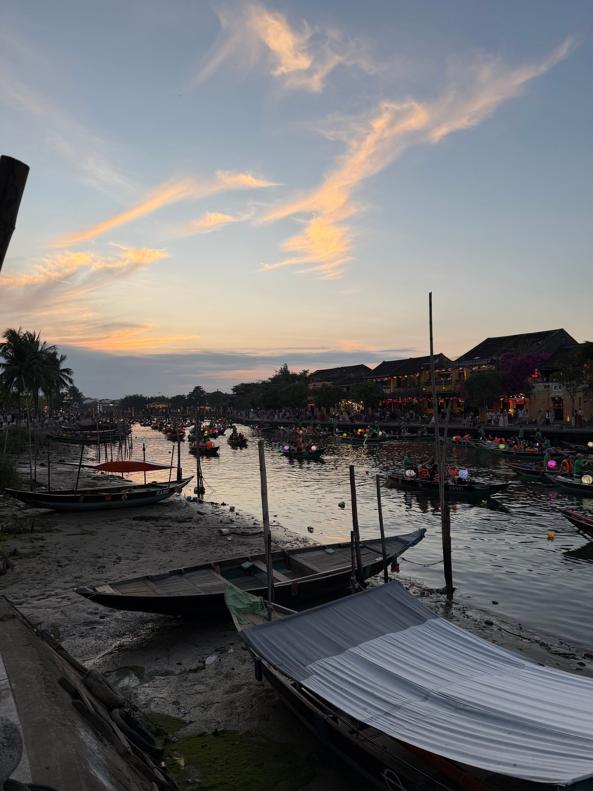IMG_0371.jpeg
