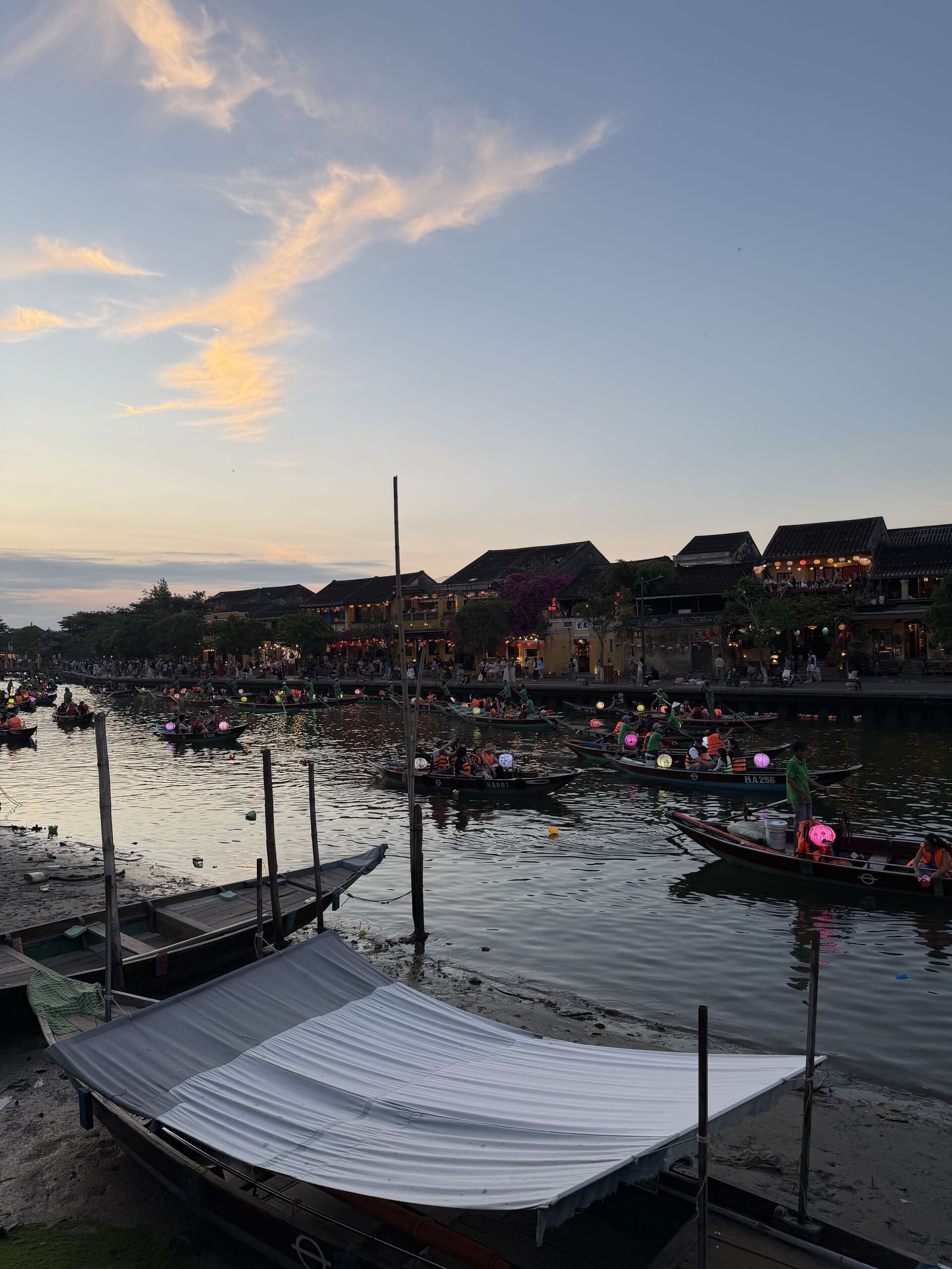 IMG_0372.jpeg