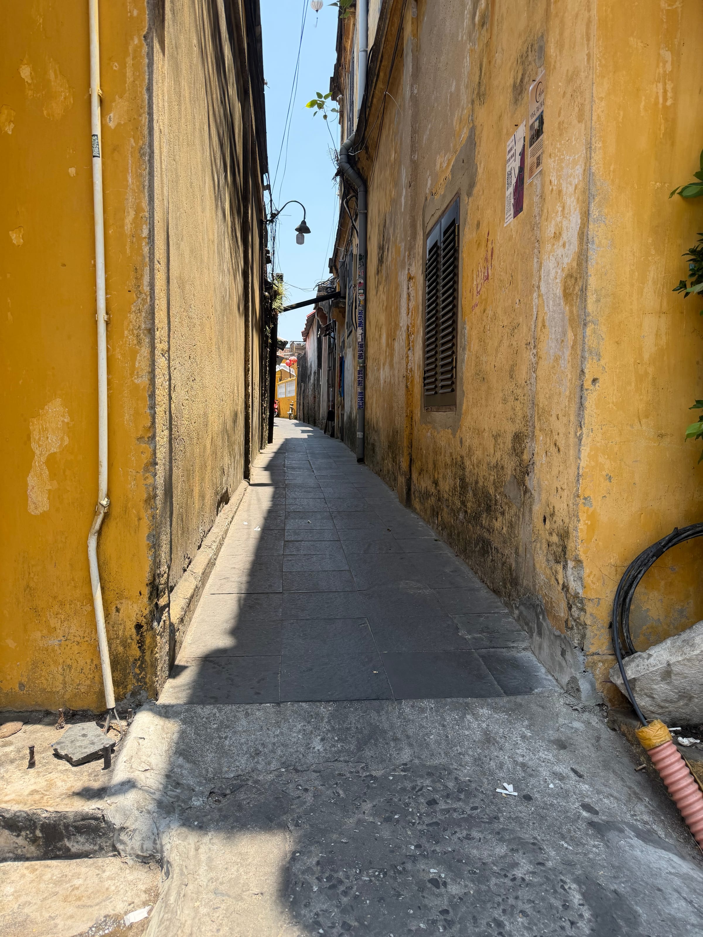 IMG_0395.jpeg